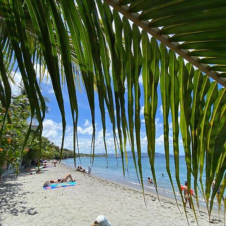 Bungalow Palbea Superieur Avec Spa Et Vue Mer Schoelcher Luaran gambar
