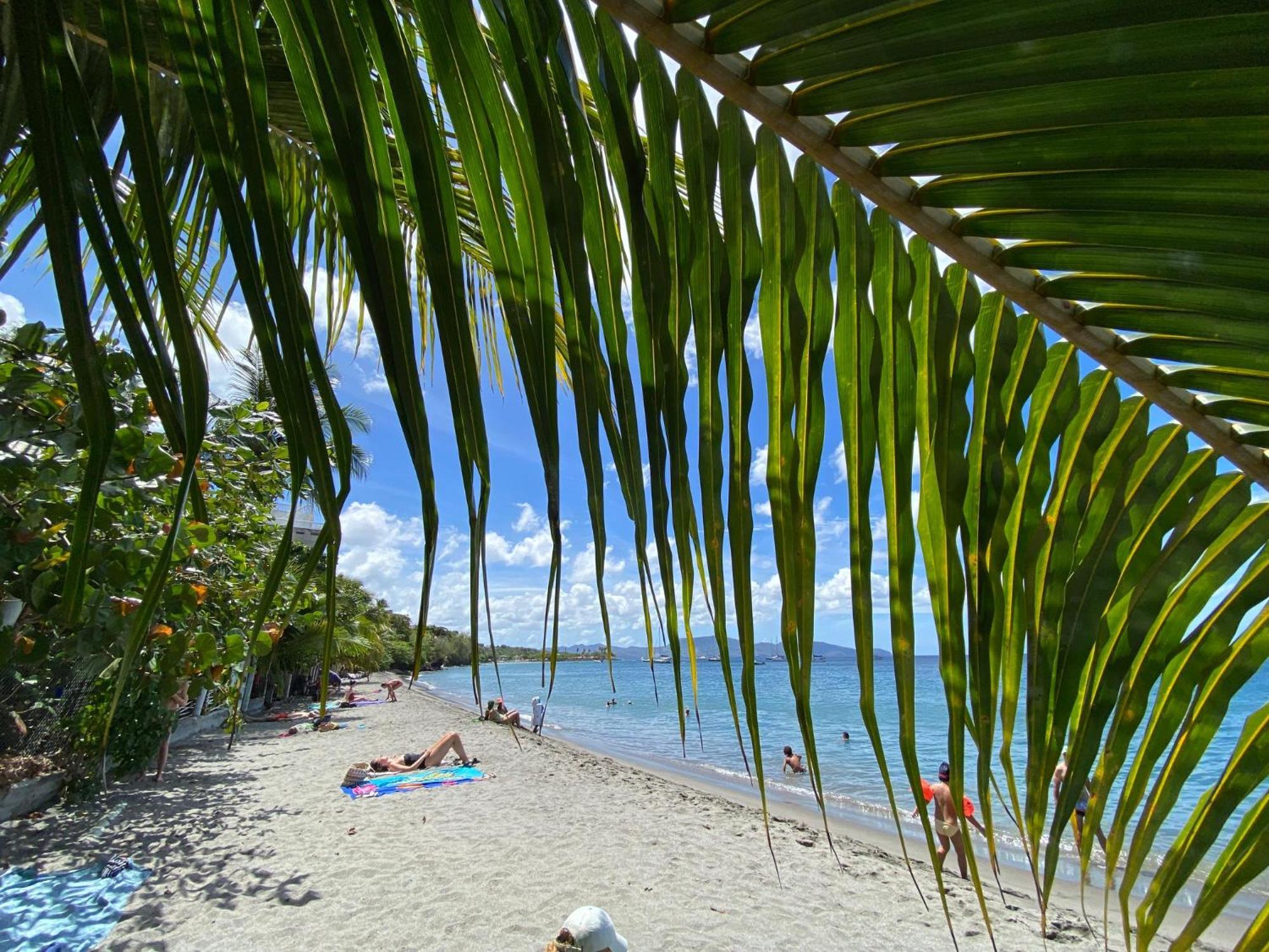 Bungalow Palbea Superieur Avec Spa Et Vue Mer Schoelcher Luaran gambar